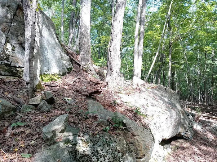 Ives Trail Picture 10
