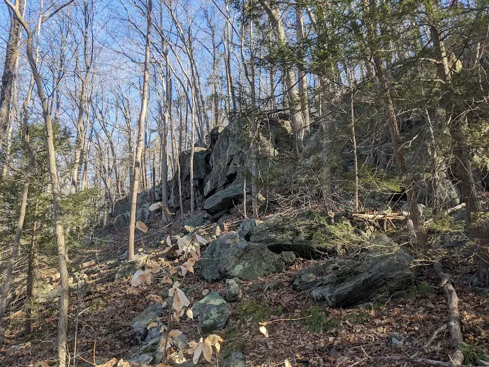 Ives Trail (Parking Area) Picture 7