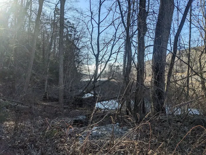 Ives Trail (Parking Area) Picture 6