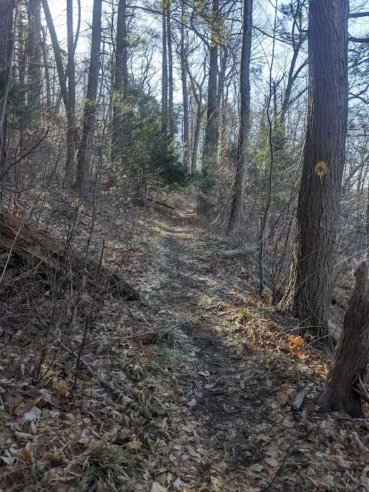 Ives Trail (Parking Area) Picture 5