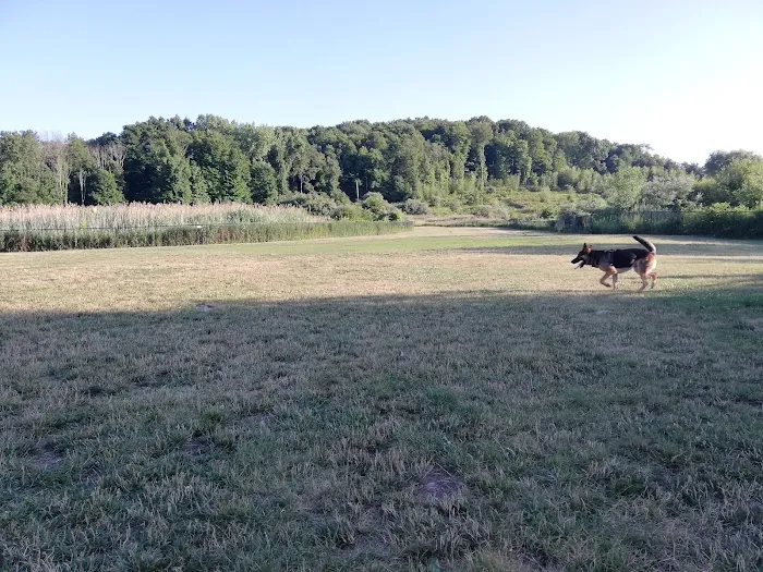 Danbury Dog Park Picture 5