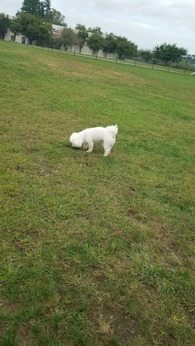 Danbury Dog Park Picture 4