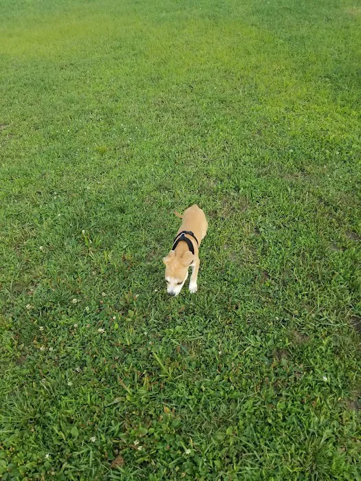 Danbury Dog Park Picture 7
