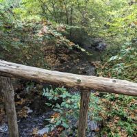 Samuel P. Senior Memorial Park ico
