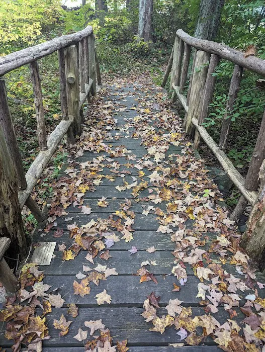 Samuel P. Senior Memorial Park Picture 5