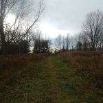 Grace Richardson Conservation Area