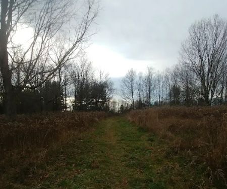 Grace Richardson Conservation Area