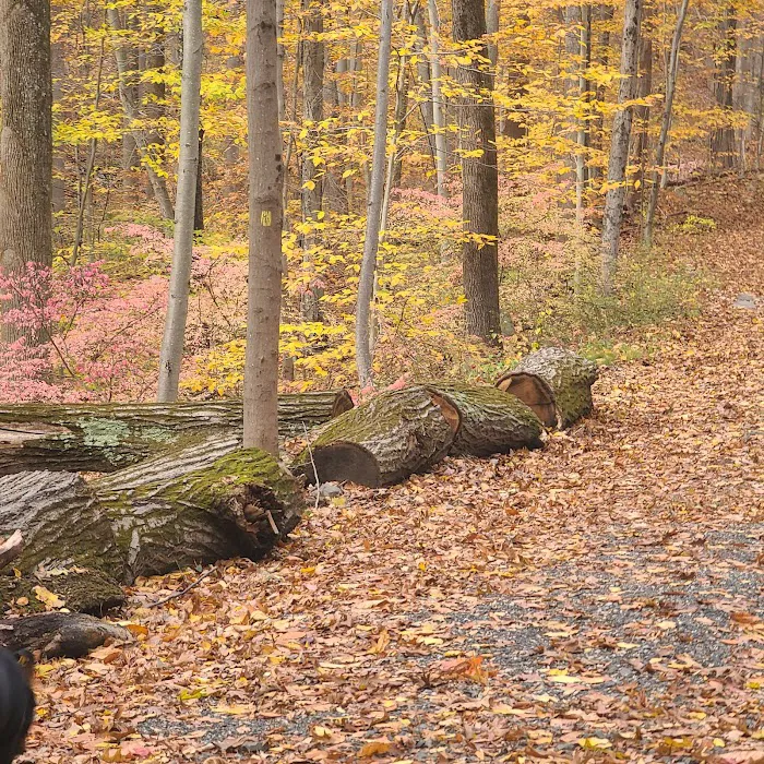 Grace Richardson Conservation Area Picture 6