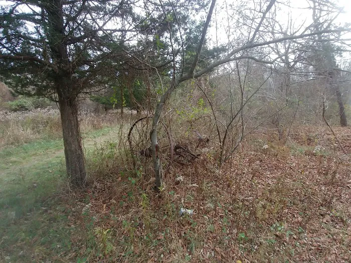 Grace Richardson Conservation Area Picture 2