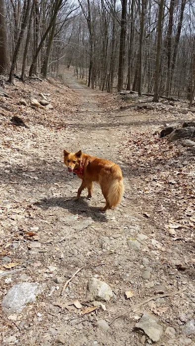 Grace Richardson Conservation Area Picture 4