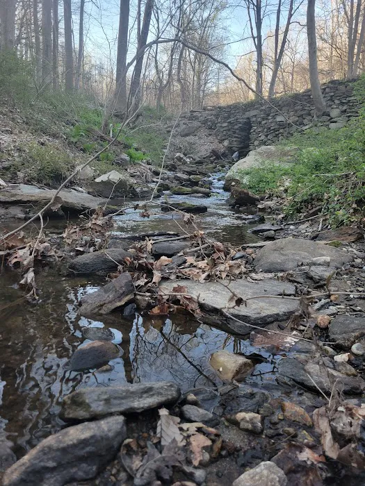 Grace Richardson Conservation Area Picture 9