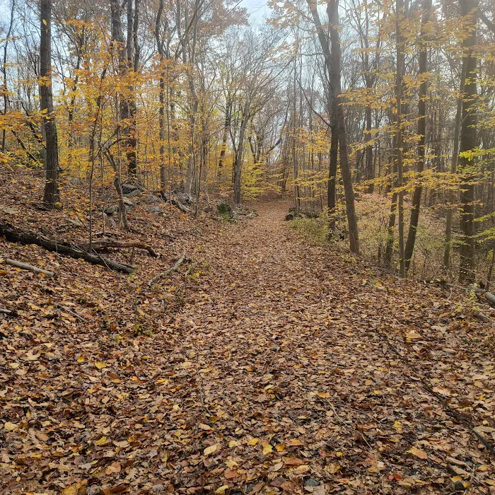 Grace Richardson Conservation Area Picture 5