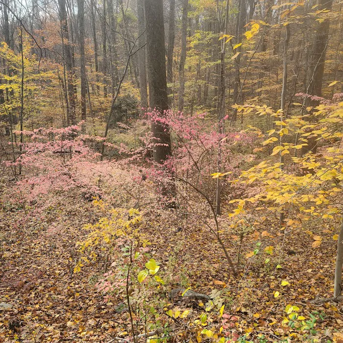 Grace Richardson Conservation Area Picture 8