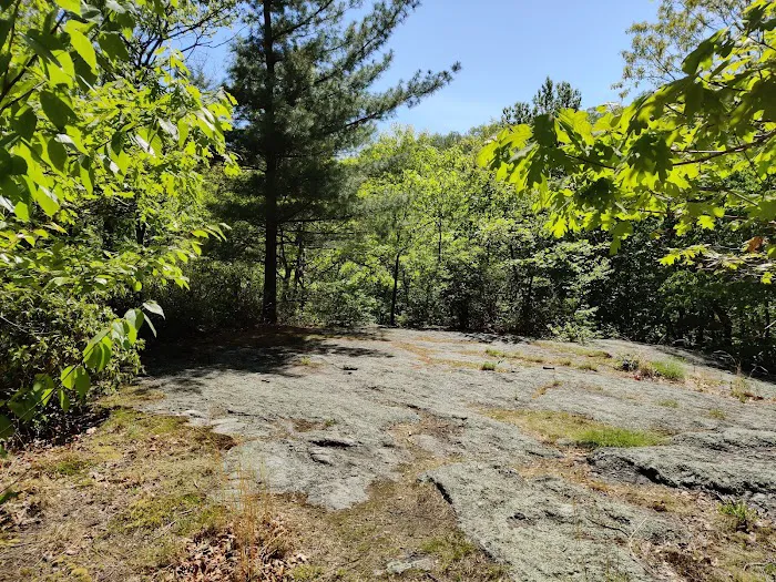Mount Laurel Park Open Space Picture 5