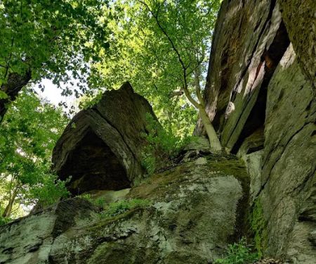 Mount Laurel Park Open Space