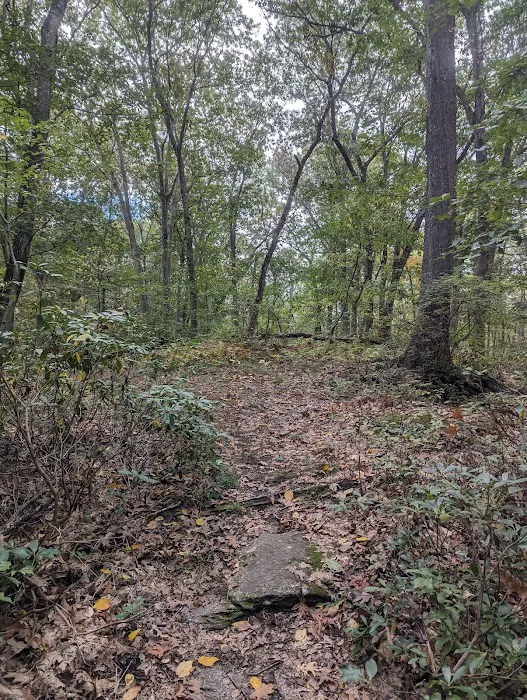 Mount Laurel Open Space Parking Picture 7