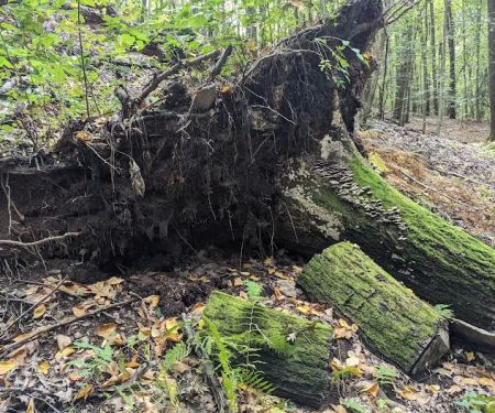 Mount Laurel Open Space Parking
