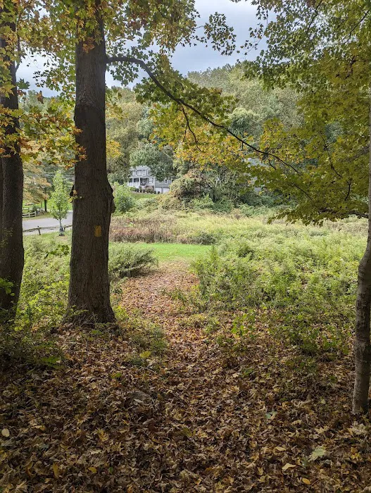 Mount Laurel Open Space Parking Picture 9