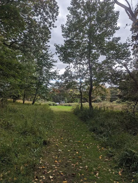 Mount Laurel Open Space Parking Picture 5