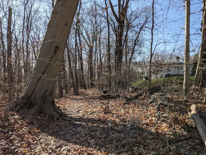 Aspetuck Land Trust: Harwood Preserve Picture 4
