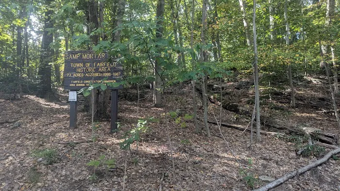 Samp Mortar Rock Open Space Picture 1