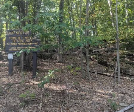 Samp Mortar Rock Open Space