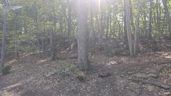 Samp Mortar Rock Open Space Picture 2