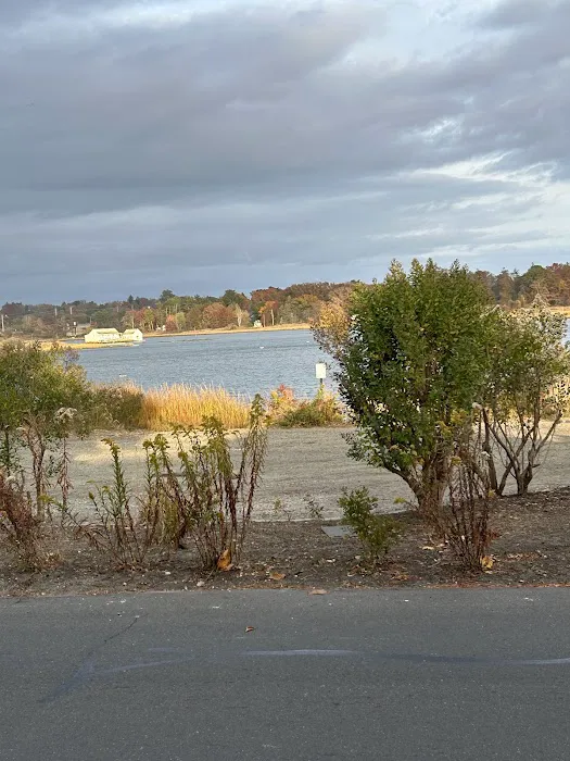 Mill Pond Preserve Picture 9