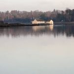 Mill Pond Preserve