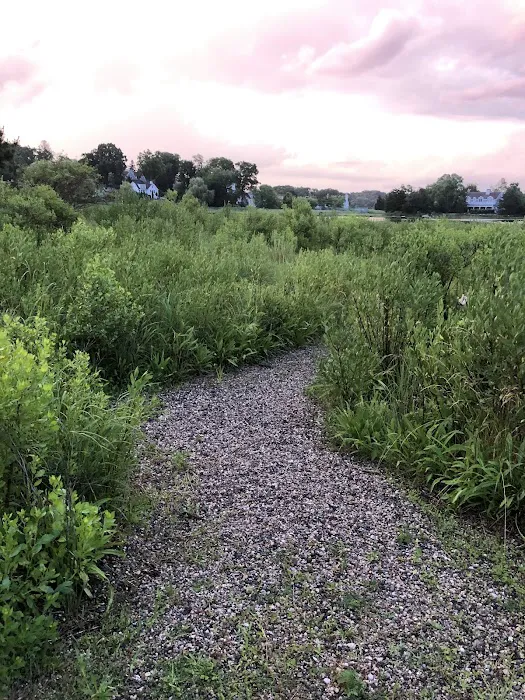 Mill Pond Preserve Picture 10