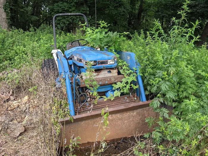 Smith Richardson Wildlife Preserve and Christmas Tree Farm Picture 4
