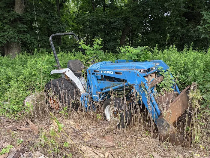 Smith Richardson Wildlife Preserve and Christmas Tree Farm Picture 7