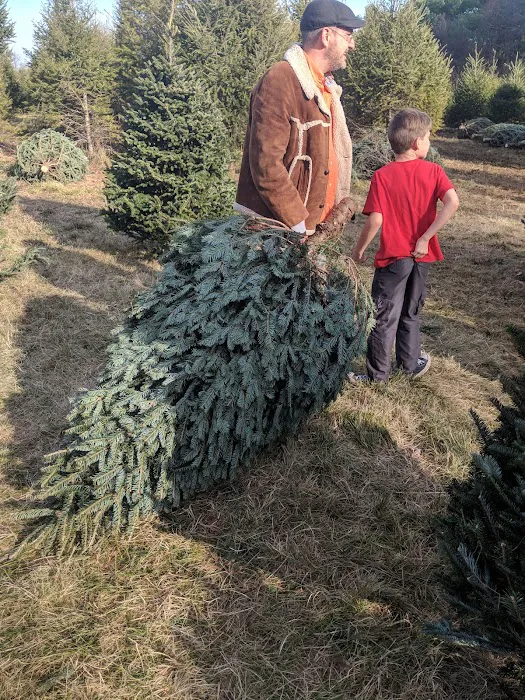 Smith Richardson Wildlife Preserve and Christmas Tree Farm Picture 2