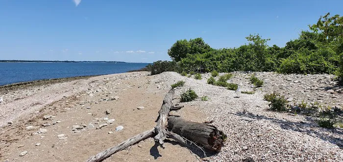 Cockenoe Island Picture 3