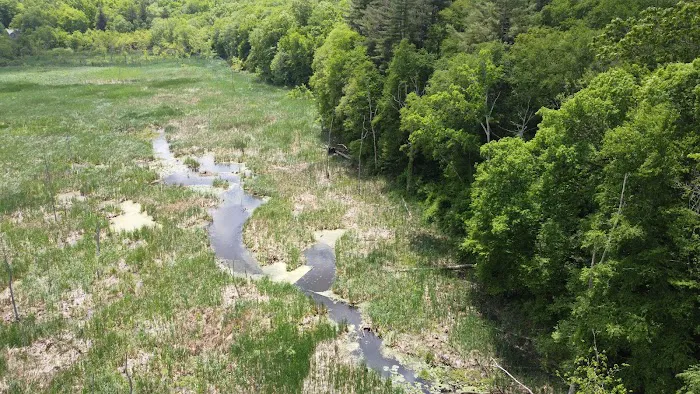 Clough Preserve Picture 1