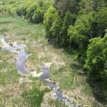 Clough Preserve