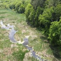 Clough Preserve ico