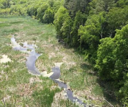 Clough Preserve