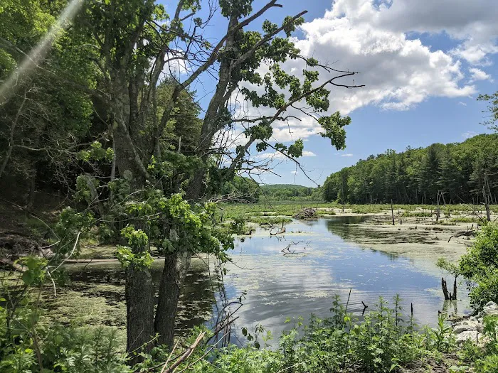 Clough Preserve Picture 4