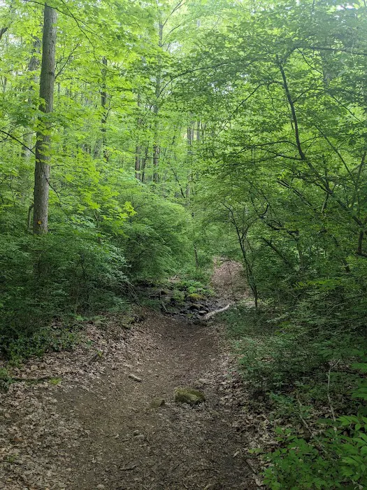 Clough Preserve Picture 7