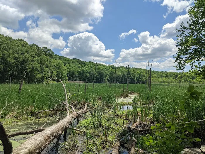 Clough Preserve Picture 3