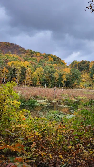 Clough Preserve Picture 9