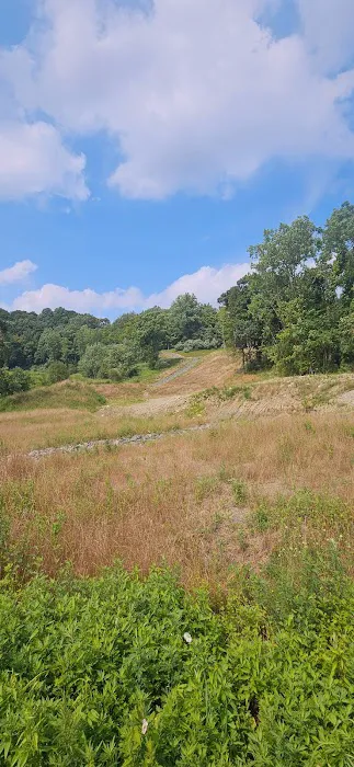 Lake Carmel Picture 1
