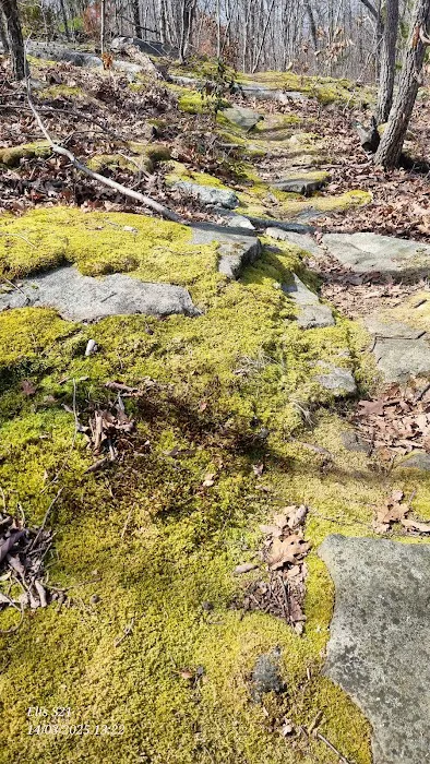 Ice Pond conservation area Picture 4