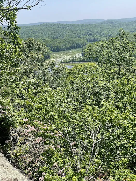 Ice Pond conservation area Picture 9