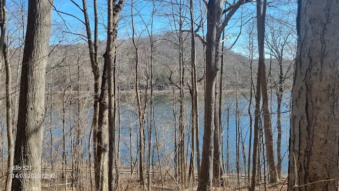 Ice Pond conservation area Picture 6