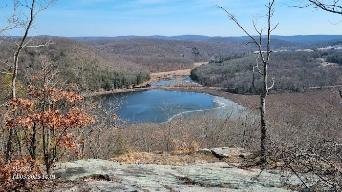 Ice Pond conservation area Picture 5