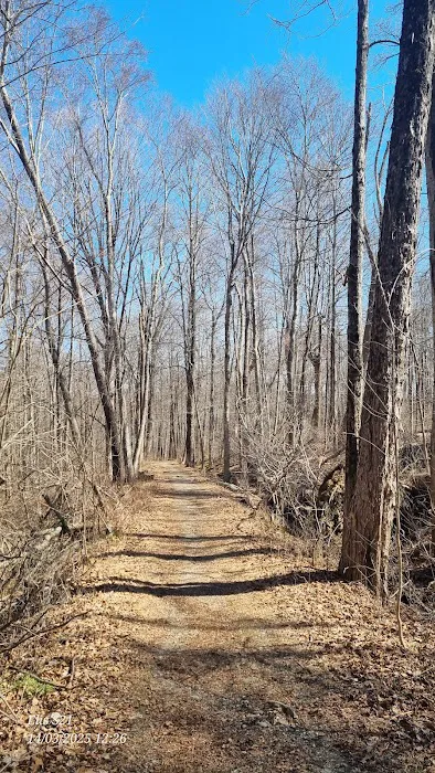Ice Pond conservation area Picture 2