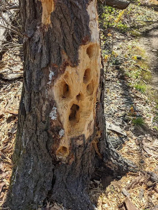 Wonder Lake State Park Picture 10