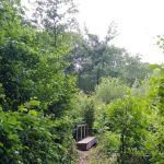Wonder Lake State Park Hiking Trails
